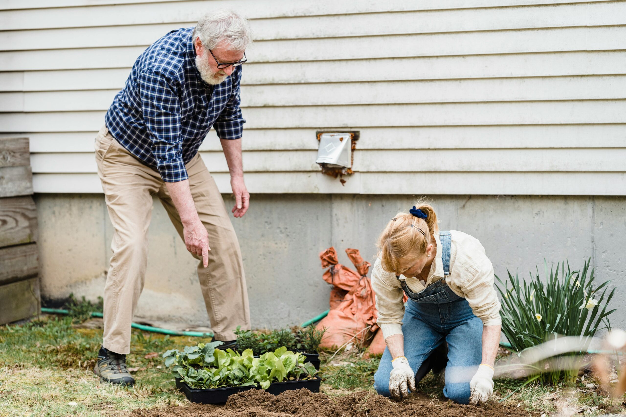 Gartenarbeit für Anfänger – einfache Projekte zum Starten