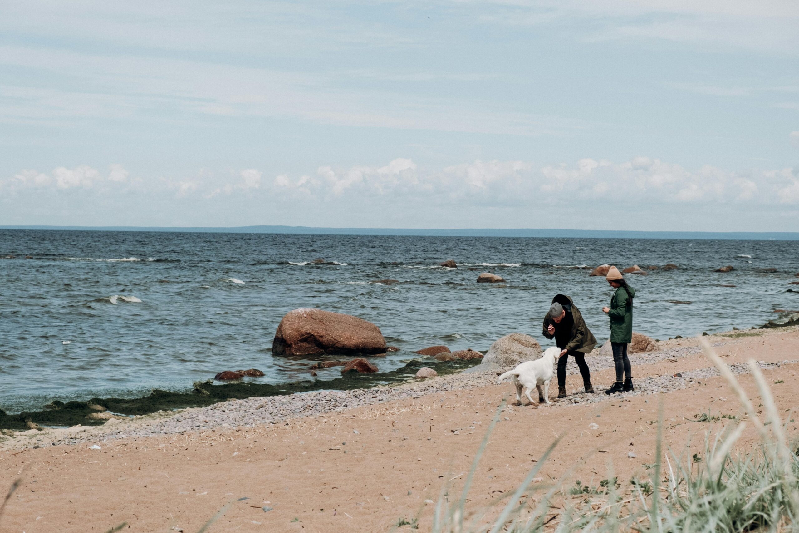 Tipps zur Pflege von Haustieren während der Urlaubszeit